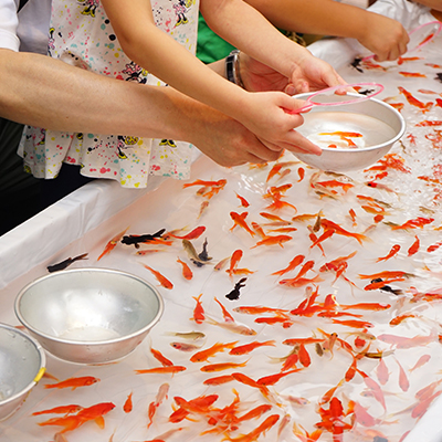 金魚すくいイメージ画像