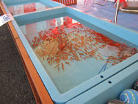 賑やかな夏祭り、今年も開催! イメージ画像